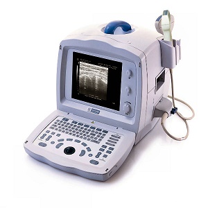 Ultrasound NSL DP2200